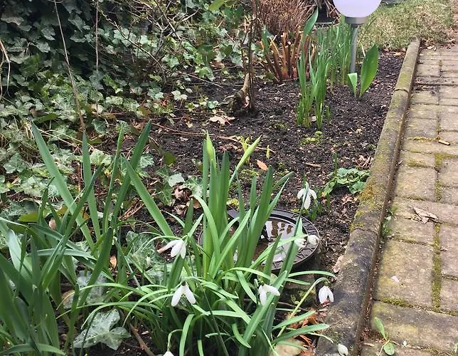 In Domnaehe アパート エアフルト